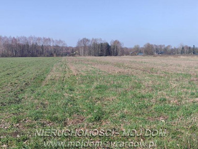 Działka w atrakcyjnej cenie Studzieniec - Studzieniec  -
Mazowieckie Zdjęcie nr 2