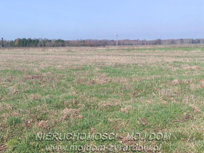 Działka w atrakcyjnej cenie Studzieniec - Studzieniec  -
Mazowieckie Zdjęcie nr 3