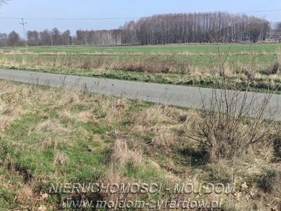 Działka w atrakcyjnej cenie Studzieniec - Studzieniec  -
Mazowieckie Zdjęcie nr 4