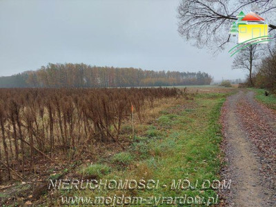 Polecamy działki w Miedniewicach - Miedniewice  -
Mazowieckie Zdjęcie nr 3