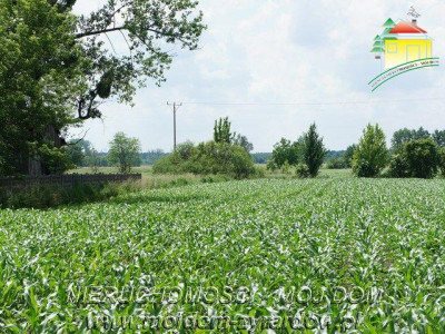 Działka budowlana - Wiskitki   -
Mazowieckie