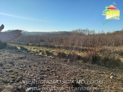 Do sprzedaży 8 działek  - Aleksandria  -
Mazowieckie Zdjęcie nr 2