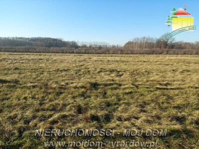 Do sprzedaży 8 działek  - Aleksandria  -
Mazowieckie Zdjęcie nr 3