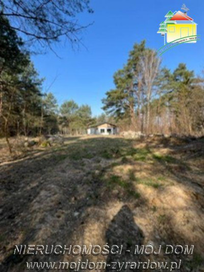 Dla osób ceniących prywatność spokój i ciszę  - Badów Górny  -
Mazowieckie Zdjęcie nr 5