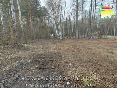 Działka budowlana w leśnej okolicy - Adamów-Wieś  -
Mazowieckie Zdjęcie nr 4