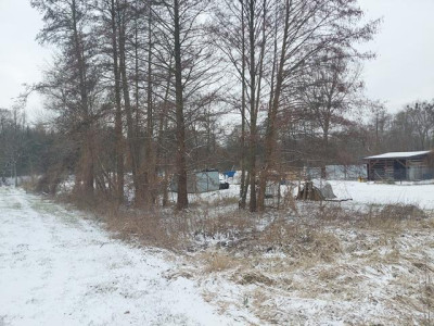 Działka budowlana w Korytowie - Korytów  -
Mazowieckie Zdjęcie nr 2