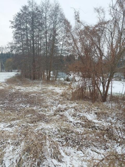 Działka budowlana w Korytowie - Korytów  -
Mazowieckie Zdjęcie nr 4