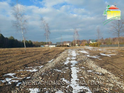 Polecamy cztery działki budowlane w m Mrozy - Mrozy  -
Mazowieckie Zdjęcie nr 3