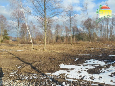 Polecamy cztery działki budowlane w m Mrozy - Mrozy  -
Mazowieckie Zdjęcie nr 2