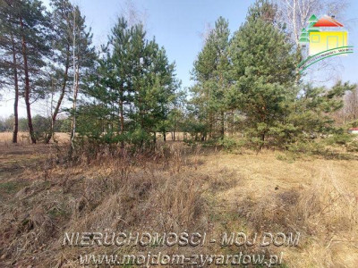 Śliczna działka budowlana w Walerianach - Waleriany  -
Mazowieckie Zdjęcie nr 2