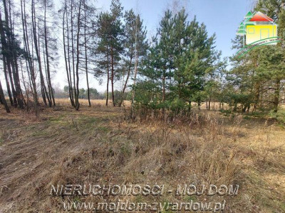 Śliczna działka budowlana w Walerianach - Waleriany  -
Mazowieckie Zdjęcie nr 3