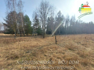 Śliczna działka budowlana w Walerianach - Waleriany  -
Mazowieckie Zdjęcie nr 5