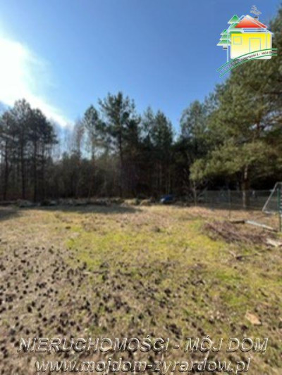 Dla osób ceniących prywatność spokój i ciszę  - Badów Górny  -
Mazowieckie Zdjęcie nr 2