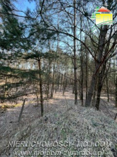 Dla osób ceniących prywatność spokój i ciszę  - Badów Górny  -
Mazowieckie Zdjęcie nr 3