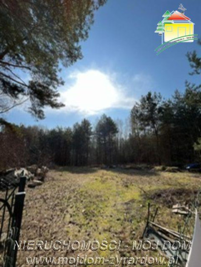 Dla osób ceniących prywatność spokój i ciszę  - Badów Górny  -
Mazowieckie Zdjęcie nr 4