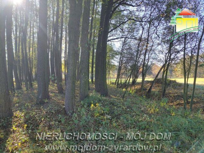 Polecamy działkę w spokojnej okolicy Radziwiłłów - Radziwiłłów  -
Mazowieckie Zdjęcie nr 2