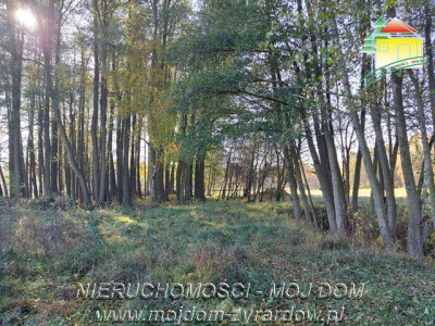 Polecamy działkę w spokojnej okolicy Radziwiłłów - Radziwiłłów  -
Mazowieckie Zdjęcie nr 3