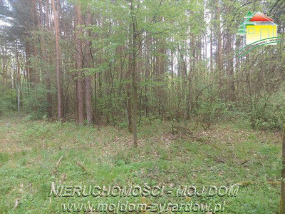 Kilka działek w Olszance powiat żyrardowski - Olszanka  - Mazowieckie