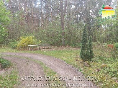 Kilka działek w Olszance powiat żyrardowski - Olszanka  -
Mazowieckie Zdjęcie nr 2