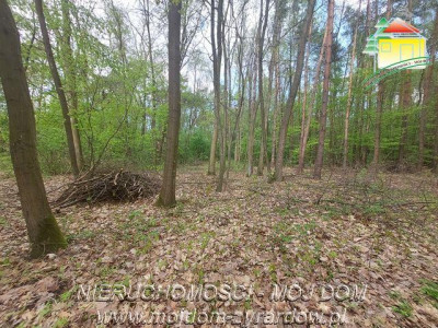 Kilka działek w Olszance powiat żyrardowski - Olszanka  -
Mazowieckie Zdjęcie nr 3