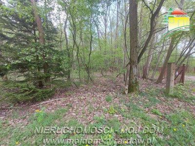 Kilka działek w Olszance powiat żyrardowski - Olszanka  -
Mazowieckie Zdjęcie nr 6