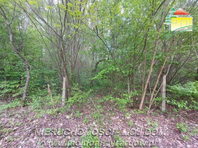 Kilka działek w Olszance powiat żyrardowski - Olszanka  -
Mazowieckie Zdjęcie nr 8