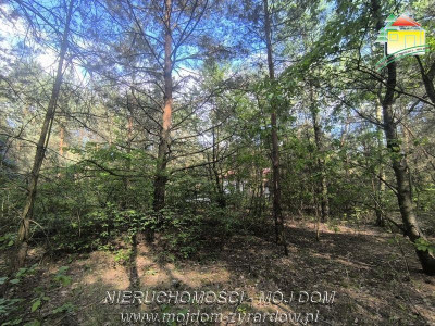 Polecamy piękną działkę budowlaną w Mrozach - Mrozy  - Mazowieckie
