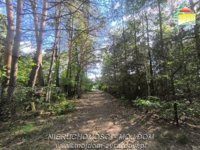 Polecamy piękną działkę budowlaną w Mrozach - Mrozy  -
Mazowieckie Zdjęcie nr 3