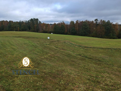 Działka budowlana na Kaszubach w wyjątkowym miejscu obok lasów - Pieski  - pomorskie