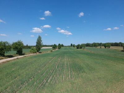 Piękne siedlisko Skrzydłowo Kaszuby - Skrzydłowo  - pomorskie