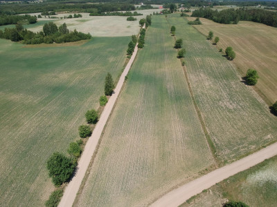 Piękne siedlisko Skrzydłowo Kaszuby - Skrzydłowo  -
pomorskie Zdjęcie nr 5