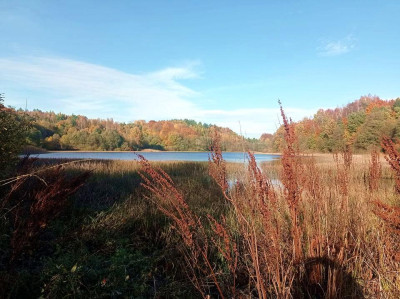 Działka 300 m od jeziora Kaszuby Połęczyno - Połęczyno  - pomorskie