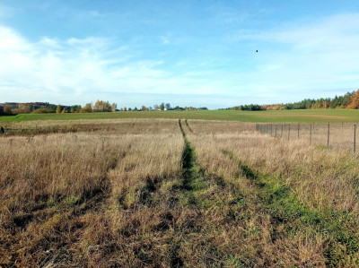 Działka 300 m od jeziora Kaszuby Połęczyno - Połęczyno  -
pomorskie Zdjęcie nr 2
