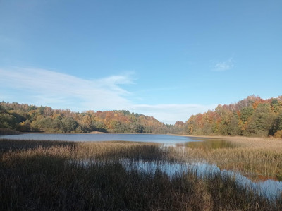 Działka 300 m od jeziora Kaszuby Połęczyno - Połęczyno  -
pomorskie Zdjęcie nr 3