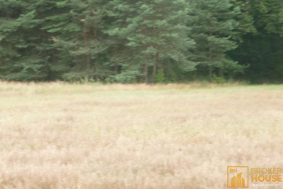 Działka rekreacyjna - Masów  -
Opolskie Zdjęcie nr 3