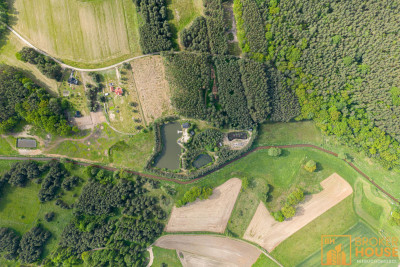 Stawy z rybaczówką przy ścianie lasu - Brynica  -
Opolskie Zdjęcie nr 8