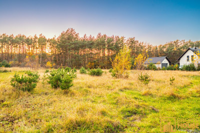 Działka budowlana w Ozimku uroczo usytuowana wśród pól i lasów - Schodnia  -
Opolskie Zdjęcie nr 8