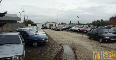 DZIAŁKA BUDOWLANA NOWA WIEŚ KRÓLEWSKA - Nowa Wieś Królewska  -
Opolskie Zdjęcie nr 3