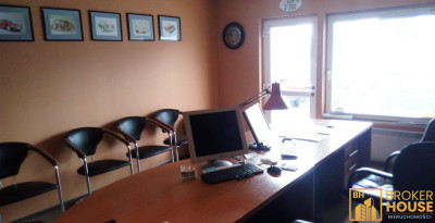 DZIAŁKA BUDOWLANA NOWA WIEŚ KRÓLEWSKA - Nowa Wieś Królewska  -
Opolskie Zdjęcie nr 6