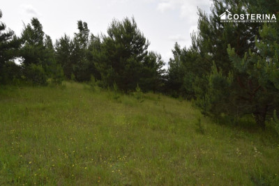 Działka rekreacyjna 3013 m w Nowych Polaszkach blisko jeziora Hutowego Kaszuby - Nowe Polaszki  -
pomorskie Zdjęcie nr 11