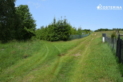 Działka rekreacyjna 3013 m w Nowych Polaszkach blisko jeziora Hutowego Kaszuby - Nowe Polaszki  -
pomorskie Zdjęcie nr 12
