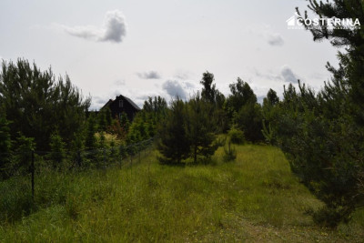 Działka rekreacyjna 3013 m w Nowych Polaszkach blisko jeziora Hutowego Kaszuby - Nowe Polaszki  - pomorskie