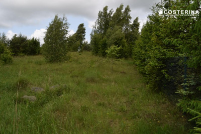 Działka rekreacyjna 3013 m w Nowych Polaszkach blisko jeziora Hutowego Kaszuby - Nowe Polaszki  -
pomorskie Zdjęcie nr 2