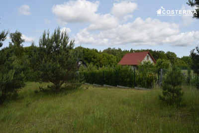 Działka rekreacyjna 3013 m w Nowych Polaszkach blisko jeziora Hutowego Kaszuby - Nowe Polaszki  -
pomorskie Zdjęcie nr 3