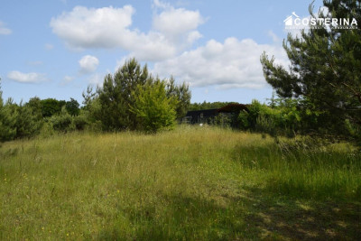 Działka rekreacyjna 3013 m w Nowych Polaszkach blisko jeziora Hutowego Kaszuby - Nowe Polaszki  -
pomorskie Zdjęcie nr 4