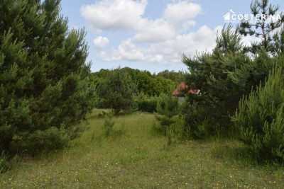 Działka rekreacyjna 3013 m w Nowych Polaszkach blisko jeziora Hutowego Kaszuby - Nowe Polaszki  -
pomorskie Zdjęcie nr 5