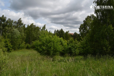 Działka rekreacyjna 3013 m w Nowych Polaszkach blisko jeziora Hutowego Kaszuby - Nowe Polaszki  -
pomorskie Zdjęcie nr 9