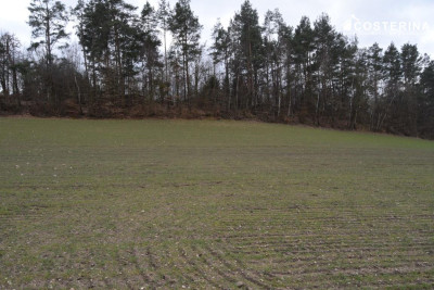 Działka z dostępem do Jeziora Polaszkowskiego 5000 m natury i prywatności Równe gmina Stara Kiszew - Chrztowo  -
pomorskie Zdjęcie nr 2