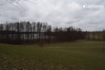 Działka z dostępem do Jeziora Polaszkowskiego 5000 m natury i prywatności Równe gmina Stara Kiszew - Chrztowo  -
pomorskie Zdjęcie nr 3