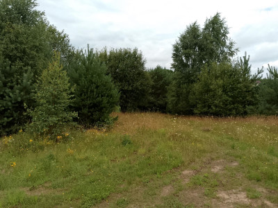 Działka budowlana z widokiem i wodociągiem Nowa Wieś Przywidzka  1500 m - Nowa Wieś Przywidzka  -
pomorskie Zdjęcie nr 2